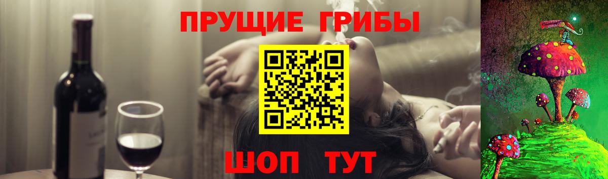 Галлюциногенные грибы Psilocybe Сердобск